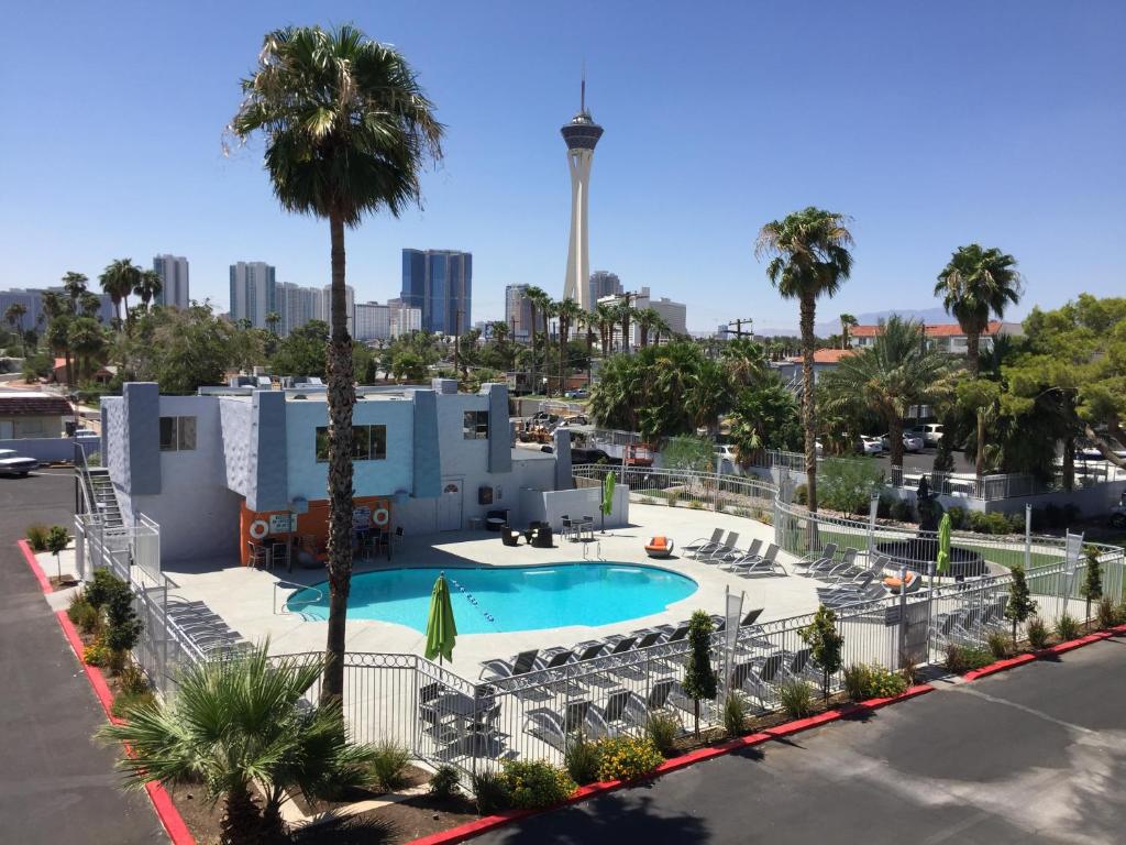 拉斯维加斯雷鸟精品酒店的享有棕榈树游泳池和大楼的景色
