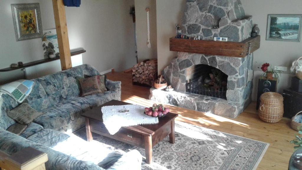 库尔迪加Stirnas的带沙发和壁炉的客厅