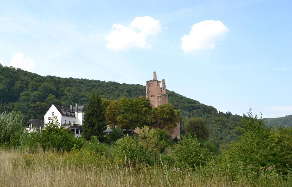 KordelHotel-Restaurant Burg-Ramstein的山顶上的古老城堡