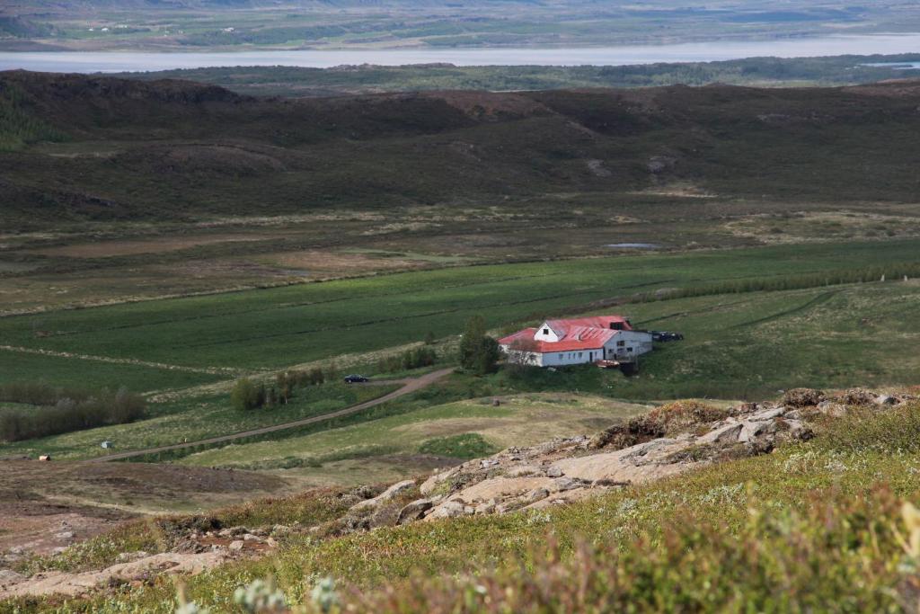 埃基斯蒂尔Country House Tokastaðir的坐在草山顶上的房子