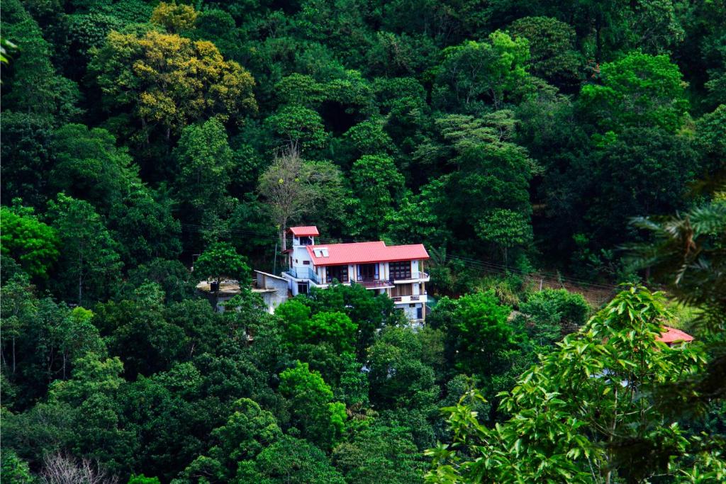 康提The Springfields Kandy Previously Madara Residence Kandy的森林中的房子