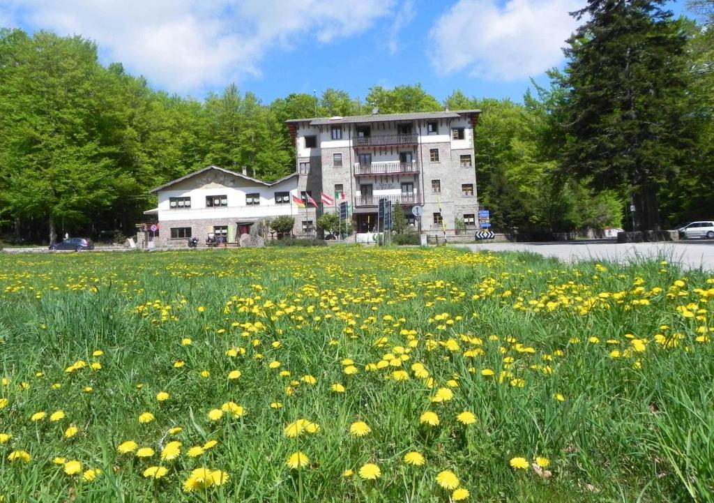 皮亚诺堡Albergo Le Macinaie - Monte Amiata的建筑前方的黄色花田