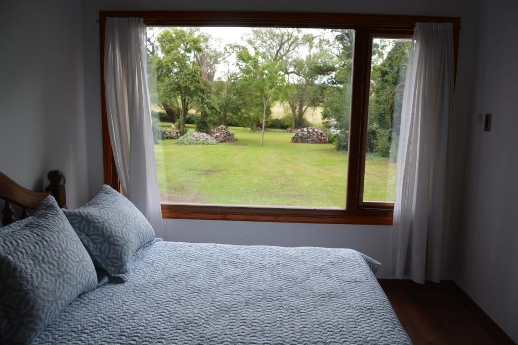 坦迪尔Cabaña El Tigre的一间卧室设有一张床和一个大窗户