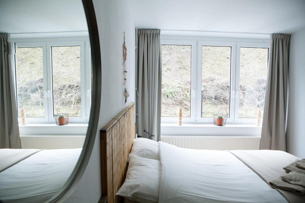 法尔肯堡Bed & Breakfast De Plenkert的卧室内的镜子,配有两张床和窗户