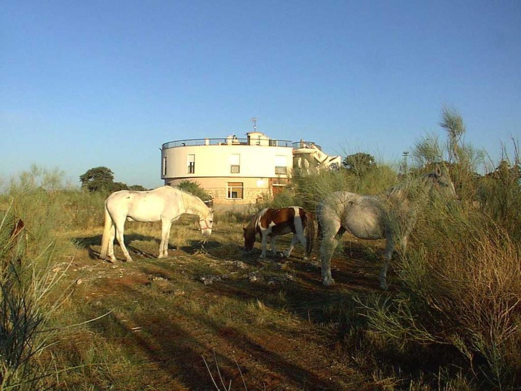 RusHotel Paraje La Lambra的三匹马在山丘上吃草,山丘上有一座建筑