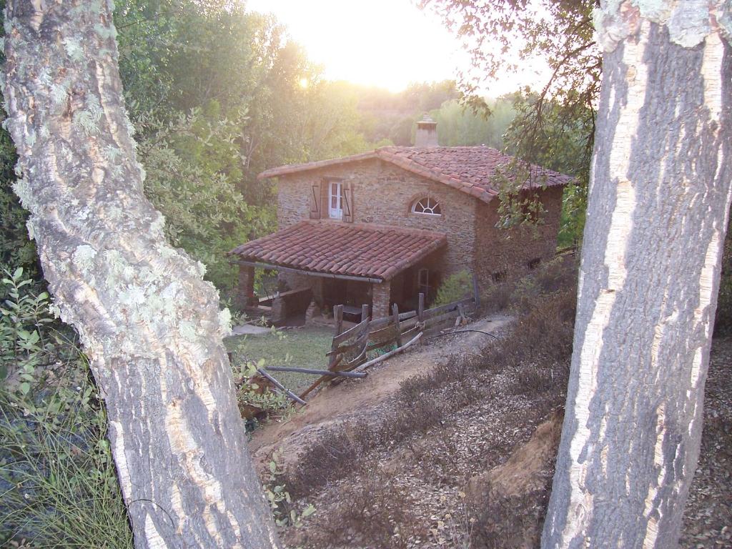 加拉罗萨Casas el Alamillo- el Castañero的森林中间的小房子