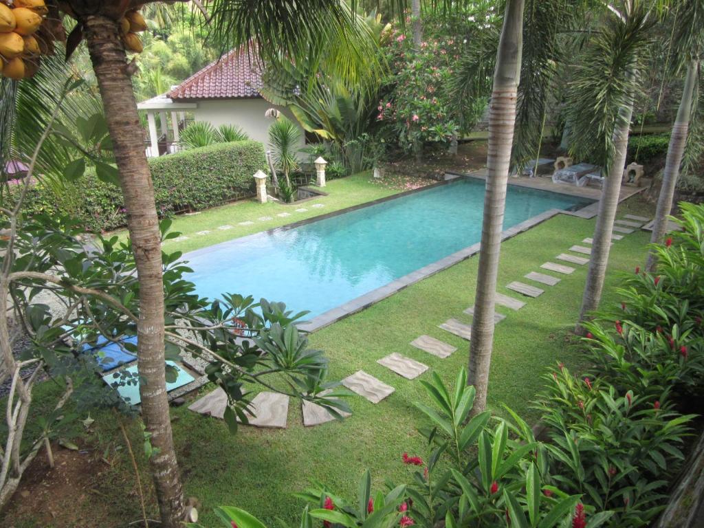 圣吉吉贝尔艾尔别墅的棕榈树庭院内的游泳池
