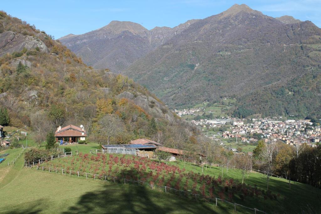 PasturoAgriturismo Il Mirtillo B,B的享有山谷中小镇的山景