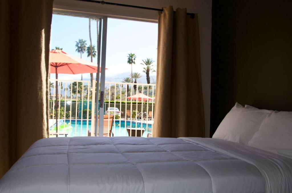 棕榈泉棕榈泉德罗斯瑞斯汽车旅馆的一间卧室配有一张床,享有游泳池的景色