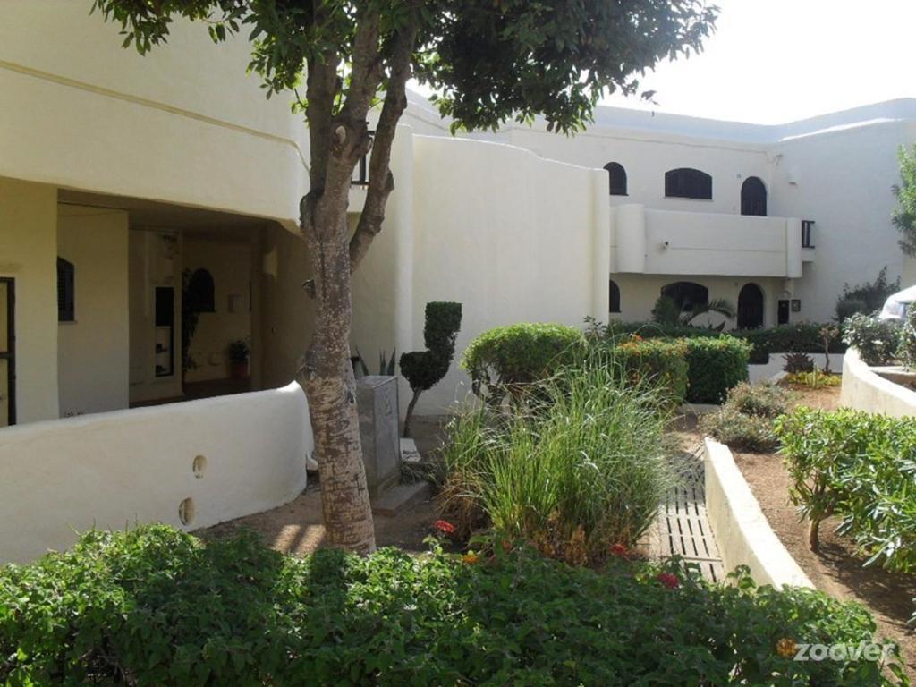 卡武埃鲁Apartamento Das Chamines的庭院里一棵树的白色建筑