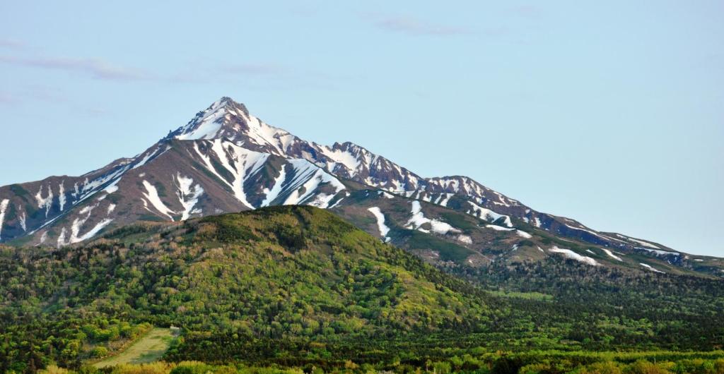 鸳泊利尻岛格林希尔旅馆的被树木覆盖的雪覆盖的山