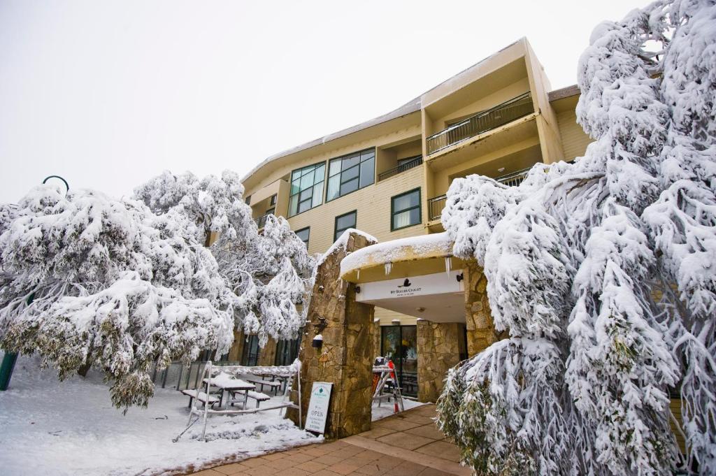 布勒山布勒山木屋套房酒店的前面有雪覆盖的树木的建筑