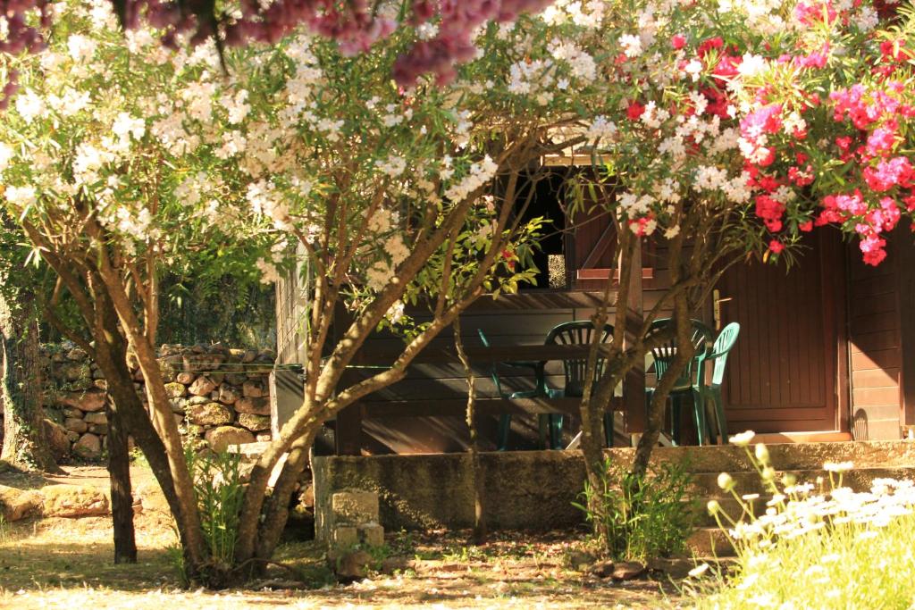 塞雷拉Résidence Marina Livia的花园里的桌椅,花朵粉红色