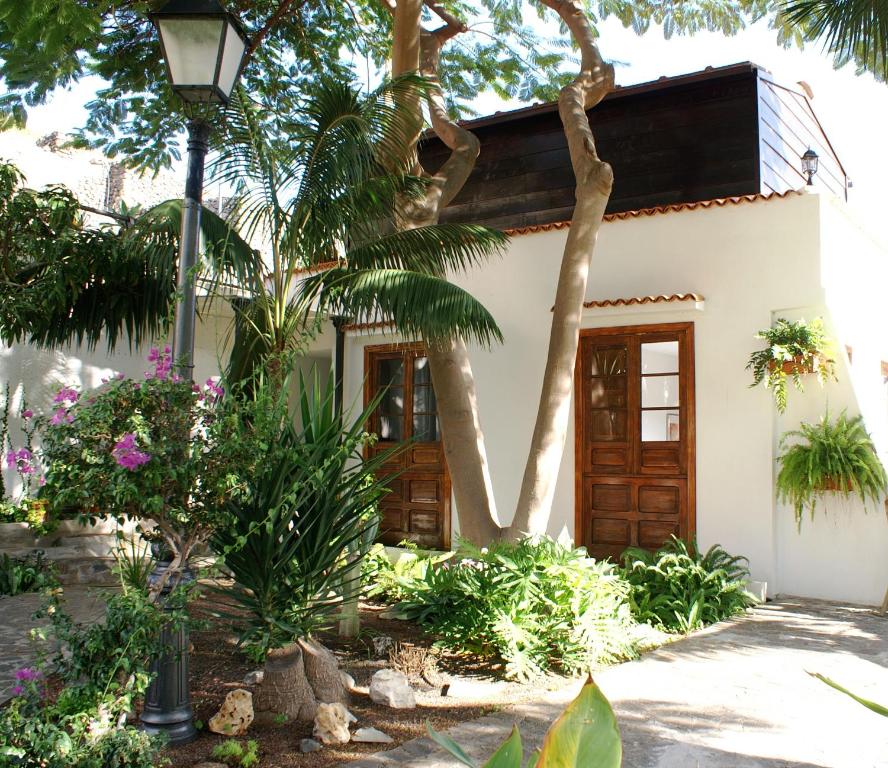 埃尔米瓜Casa Creativa的前面有棕榈树的房子