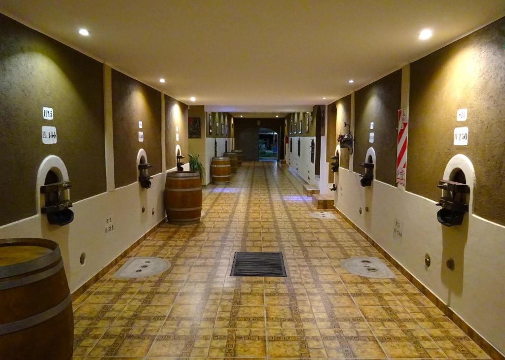 圣拉斐尔Apart Hotel La Bodega的建筑物内一排桶的走廊