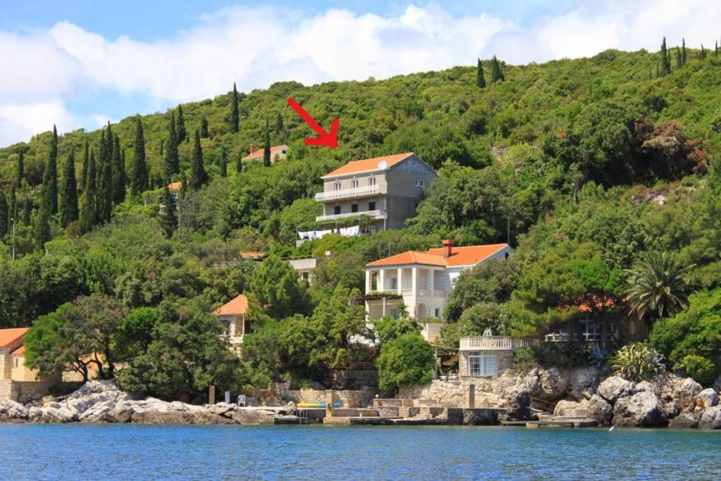 莫鲁纳特Apartments Antunović的水边小山上的大房子