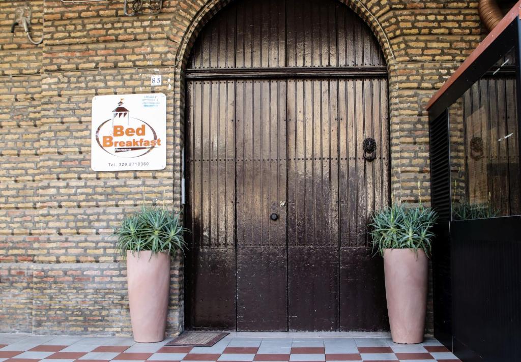 圣塞韦罗Romano B&B的前面有两棵盆栽植物的门
