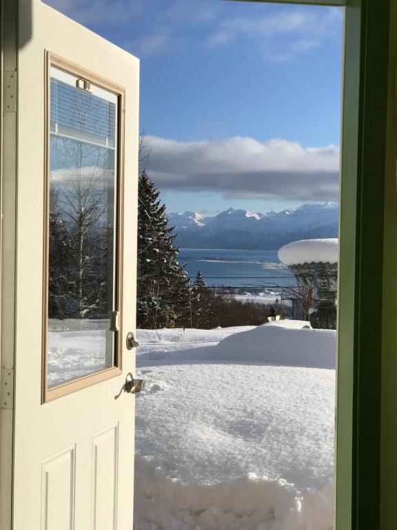 荷马太平岭住宿加早餐旅馆的享有雪景和山景的开放式门