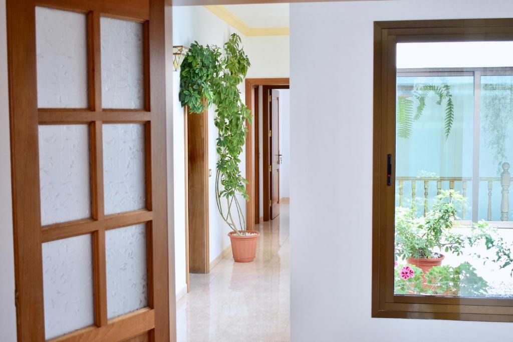 亚伊萨Casa Lava的两幅画在房间里一扇有植物的门