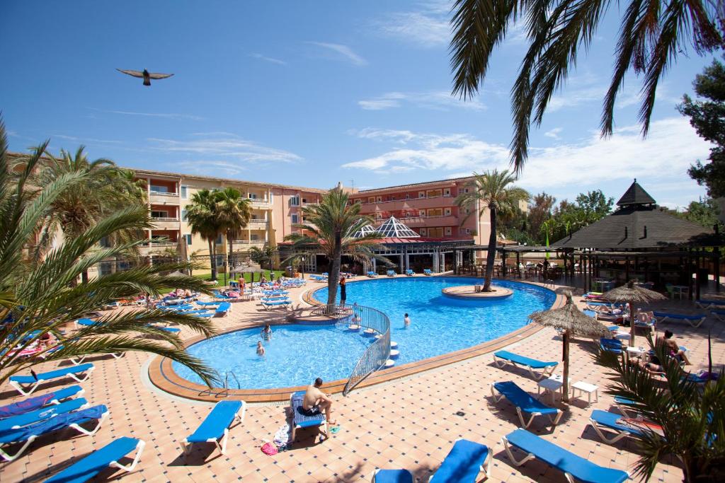帕尔马诺瓦阿瓜索尔公寓酒店的度假村的游泳池,设有蓝色的椅子和棕榈树