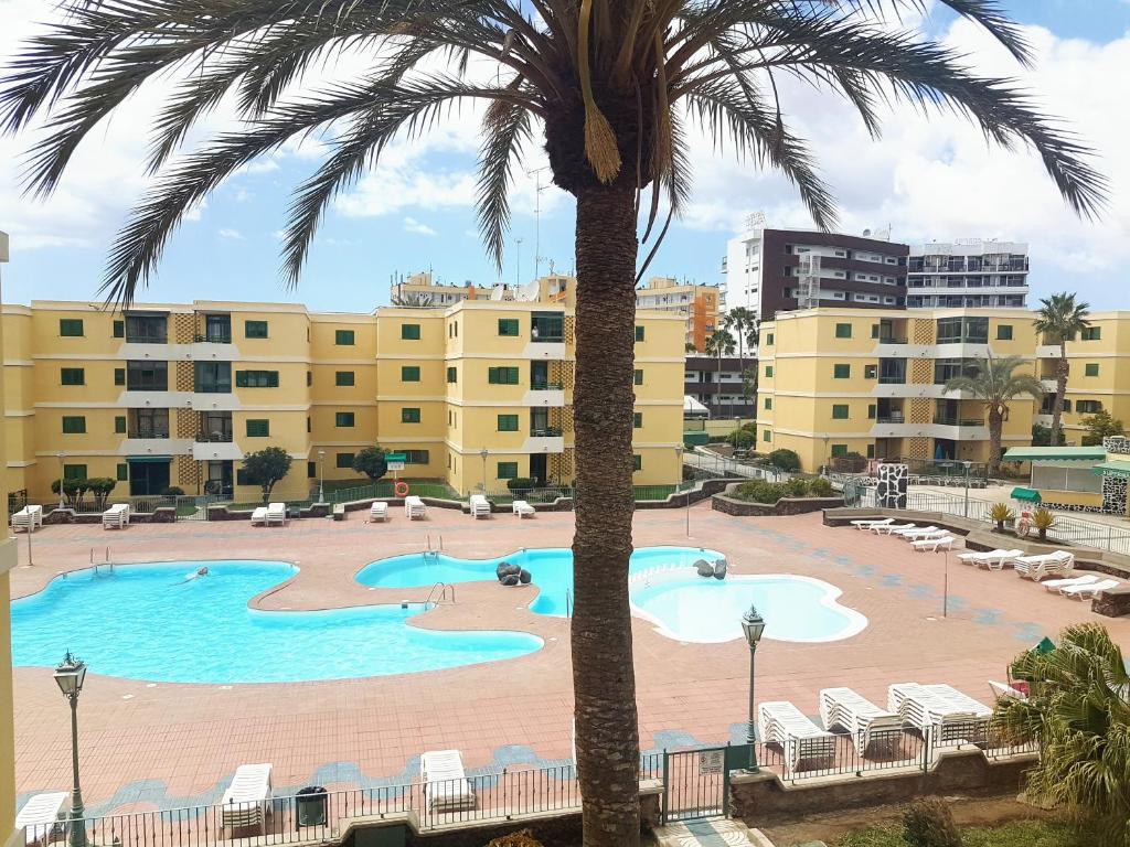 英格兰海滩Huella Canaria的享有棕榈树游泳池的景色