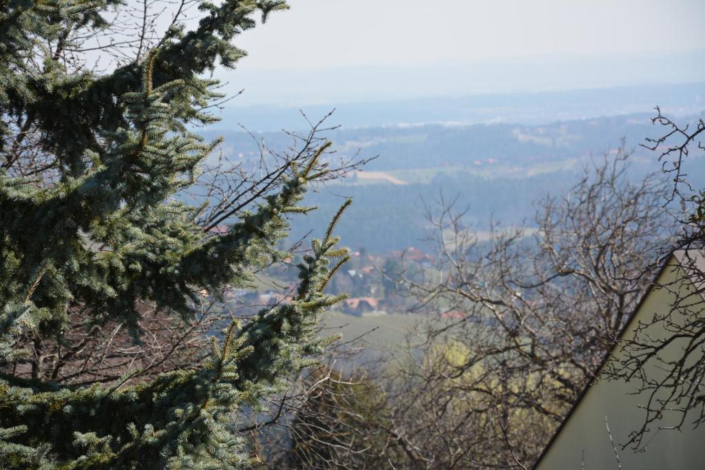 GreisdorfWeingut Seiner vlg. Kraxner的从两棵树之间欣赏山景