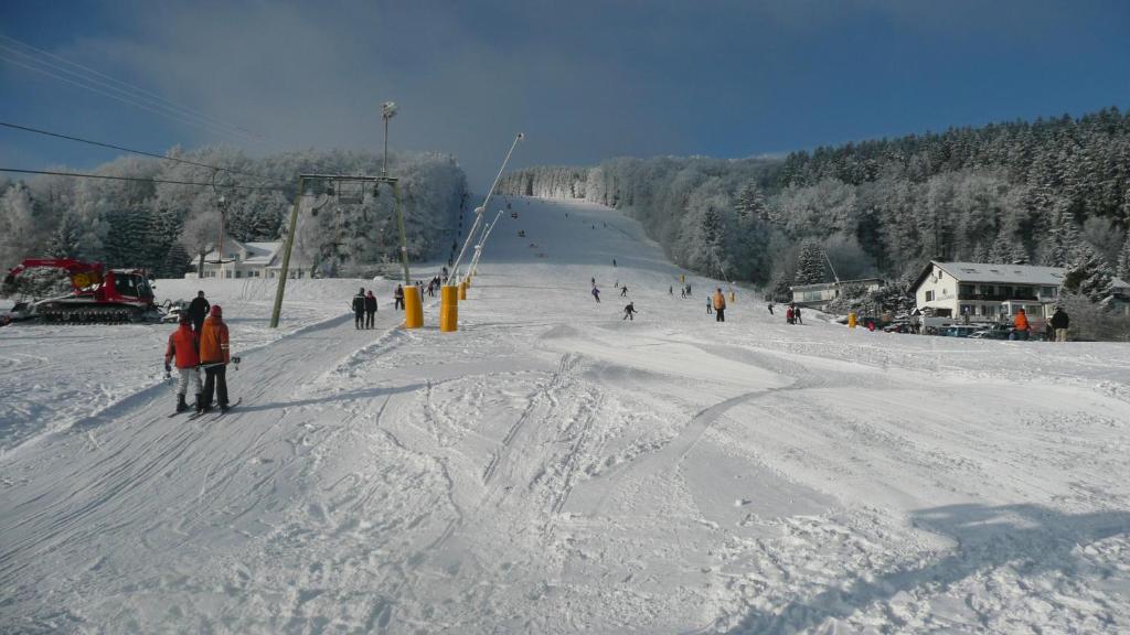 维林根Kleines Ritz的一群人沿着雪覆盖的斜坡滑雪