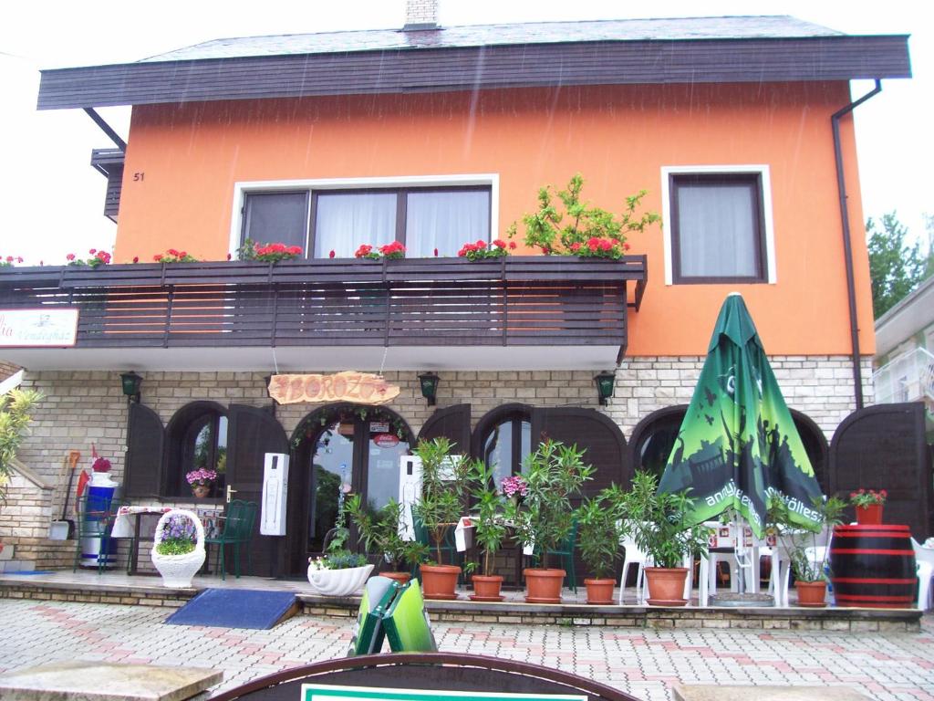 佐洛卡罗斯朱莉娅文德哈斯旅馆的前面有一堆盆栽植物的建筑