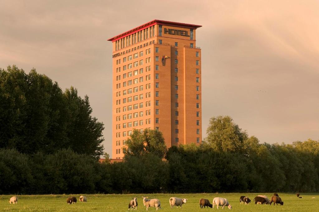 豪滕豪滕凡德瓦克酒店的一座有马匹在建筑前的田野上放牧的建筑