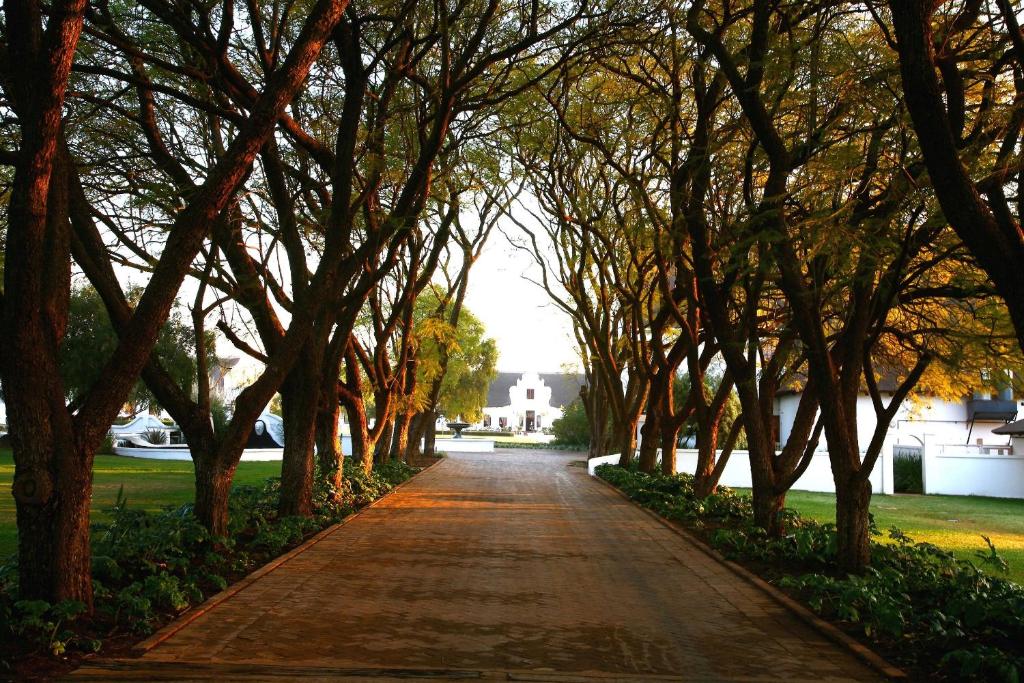 比勒陀利亚Kievits Kroon Gauteng Wine Estate的一条树成荫的林荫大道