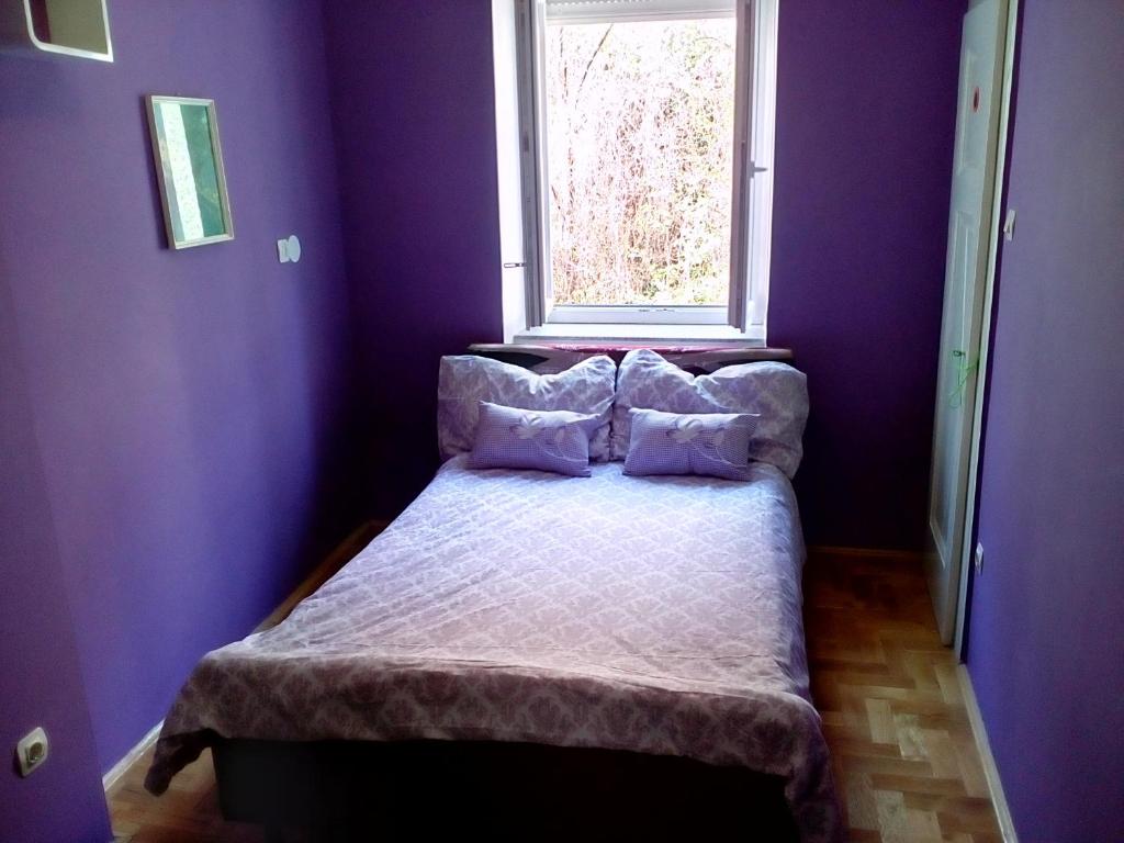 萨格勒布加森公寓的一间卧室配有一张紫色墙壁和窗户的床