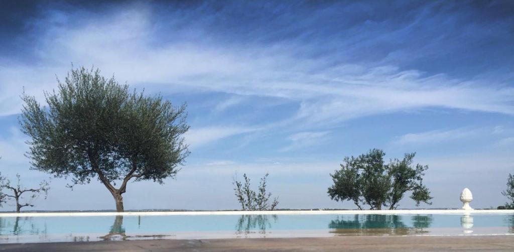 阿尔贝罗贝洛Trulli Resort的一座拥有两棵树和蓝天的游泳池