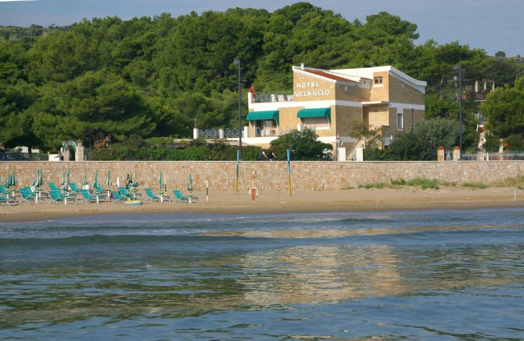 维耶斯泰Hotel Vela Velo Club Vieste的海滩上摆放着椅子,建筑背景
