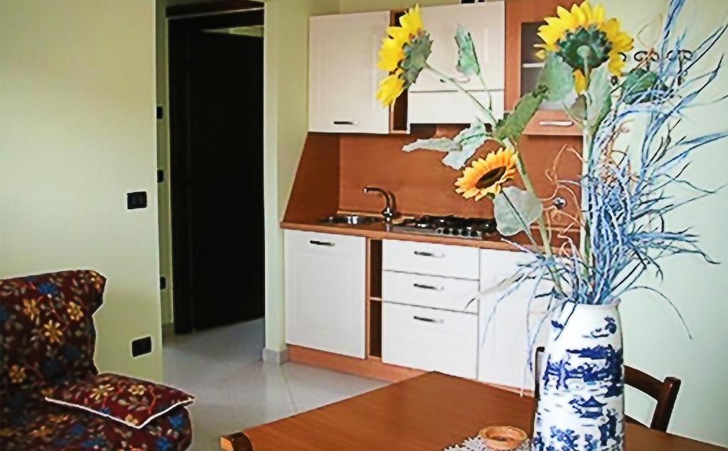 阿夸维瓦Il Piccolo Residence的厨房配有花瓶,桌子上放着鲜花