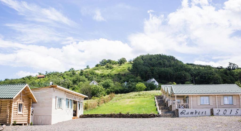 别列戈沃French Town的小屋和房子的背景是一座小山