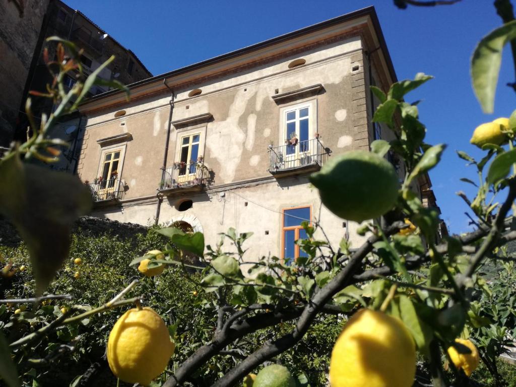 皮肖塔La Casa sul Blu Albergo Diffuso的一座带窗户和柠檬树的古老建筑
