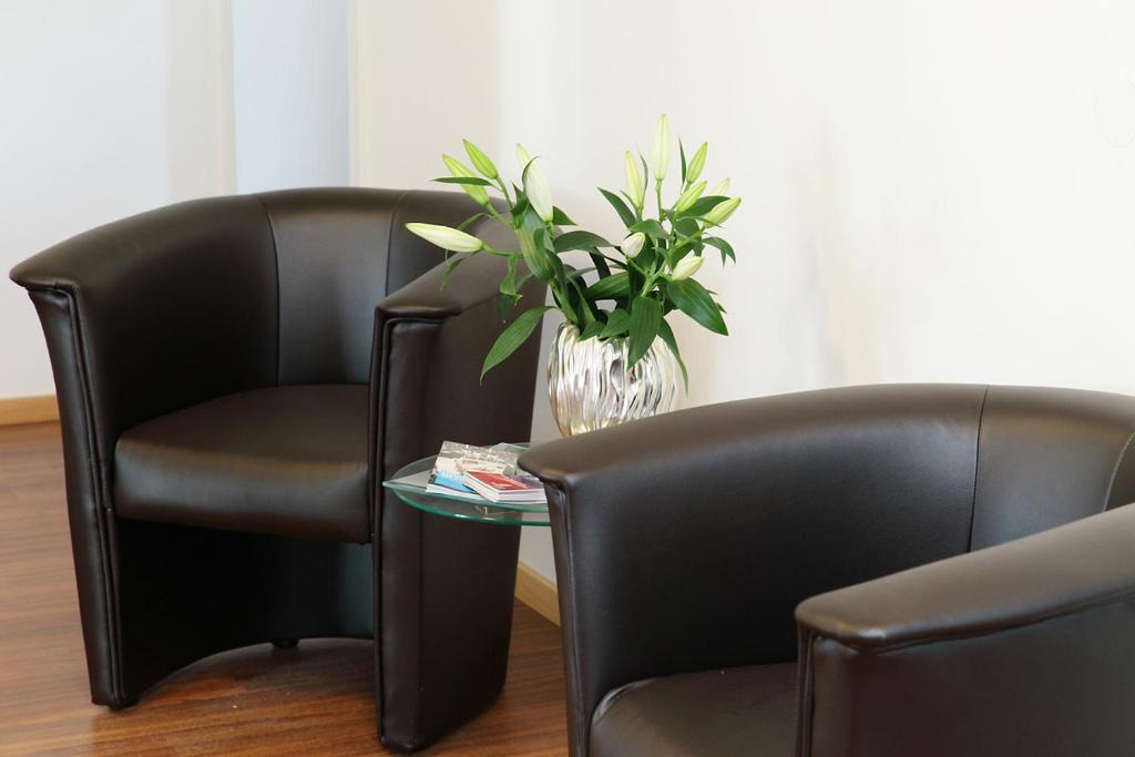 内卡苏尔姆阿尔卡德膳食公寓酒店的两张黑椅子和一个花瓶,桌子上放着植物