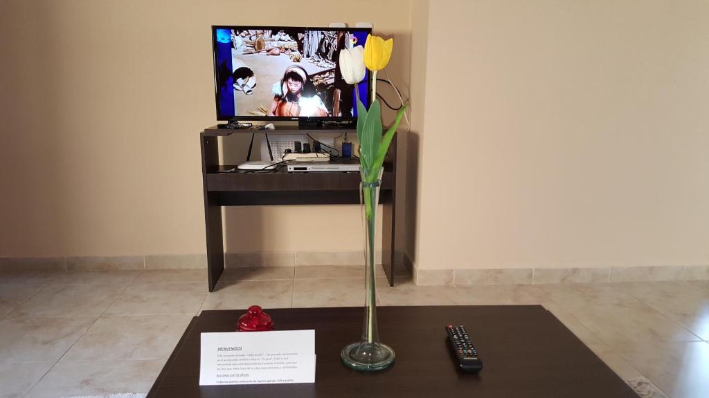 拉斐拉Casa Rossi的电视前的花瓶,有黄色花朵