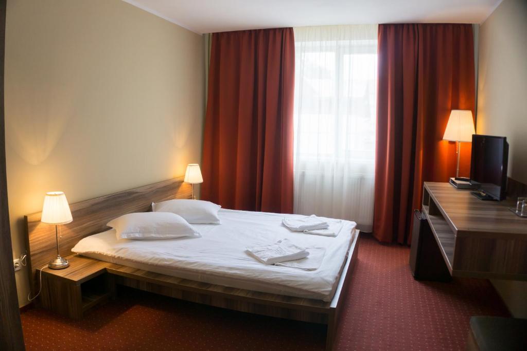 密古雷休治Hotel Merkur的酒店客房设有床和窗户。