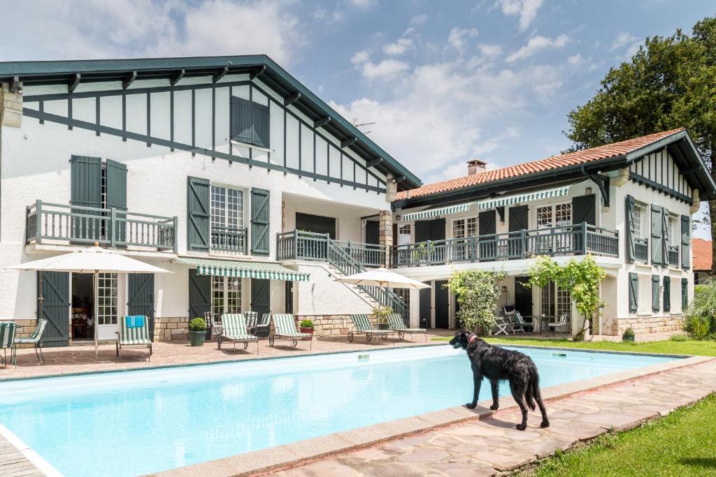 圣让-德吕兹Golfetmer的一只狗站在房子前的游泳池旁