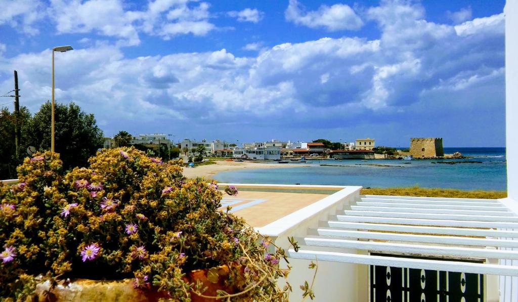 托雷桑塔萨宾娜Villa Maggi的鲜花盛开的建筑享有海滩美景