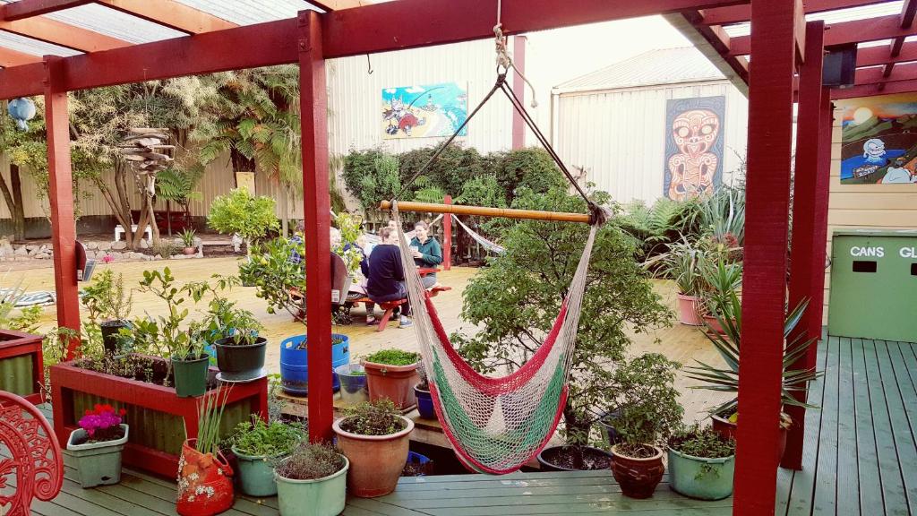 韦斯特波特Bazil's Backpackers BBH Hostel & Surf School的花园里的吊床,种有盆栽植物