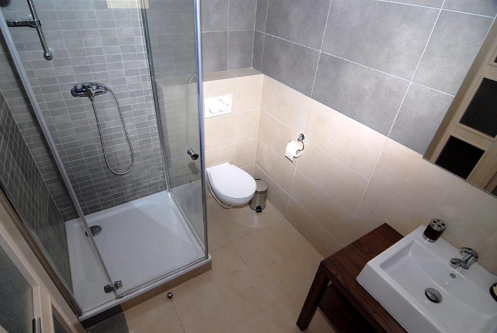 奥什恰德尼察Penzion Sasanka的带淋浴、卫生间和盥洗盆的浴室