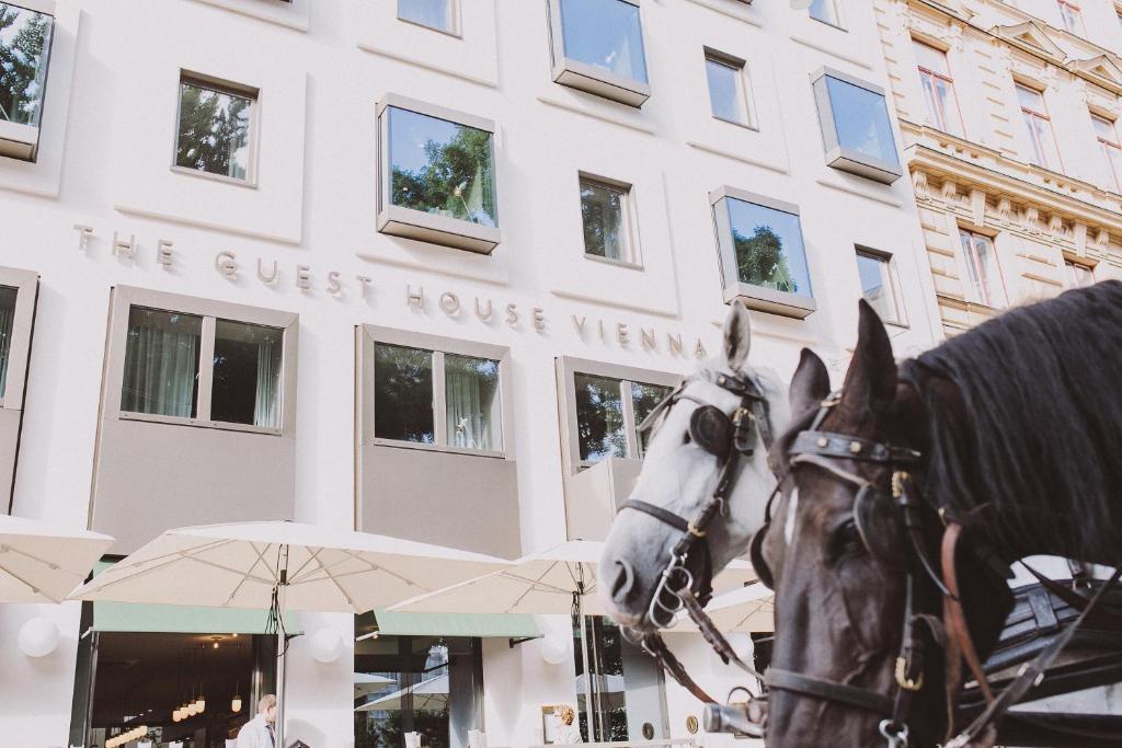 维也纳维也纳旅馆的建筑物前的马雕像