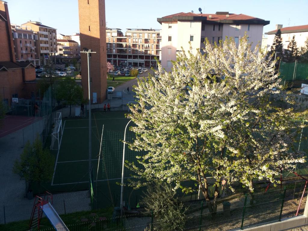 阿尔巴康特罗米塔公寓的城市网球场上的一棵树