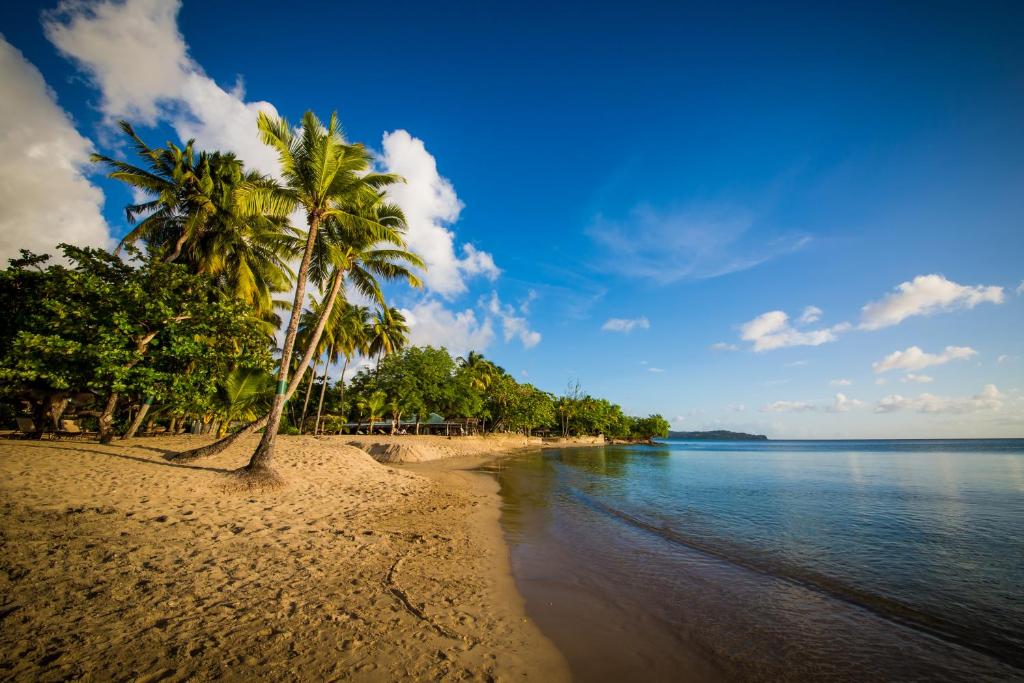 格罗斯岛East Winds St. Lucia- All Inclusive的棕榈树和水的海滩