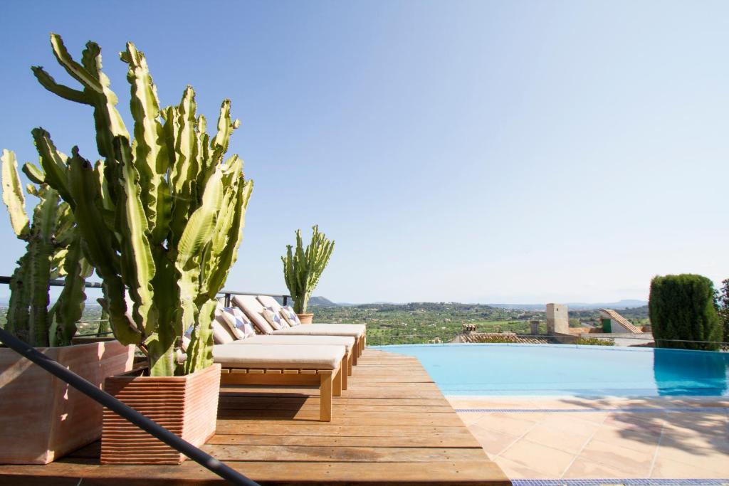 塞尔瓦Can Cota Boutique - Turismo de interior的一个带躺椅和仙人掌的游泳池