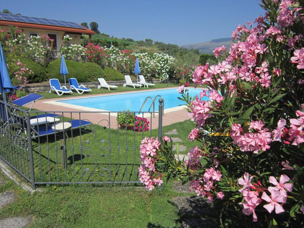 阿尼奥内马赛利亚圣卢西亚酒店的院子里的游泳池,有粉红色的花