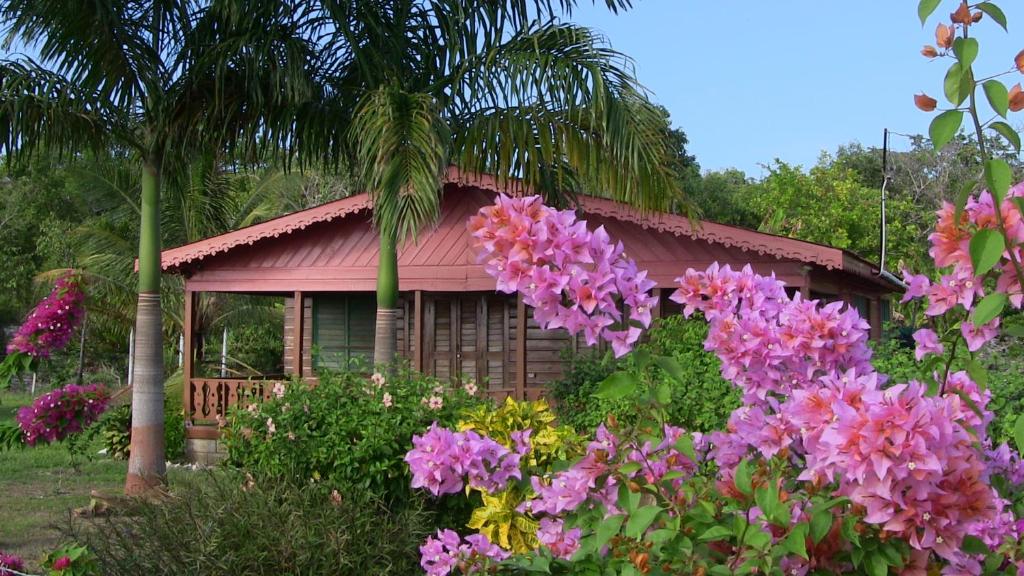 Little BayLittle Bay Beach House的前面有粉红色花的小房子