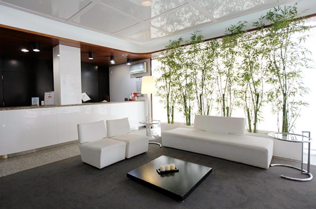 菲盖拉-达福什Hotel Costa de Prata 2 & Spa的客厅配有白色沙发和墙上的树木